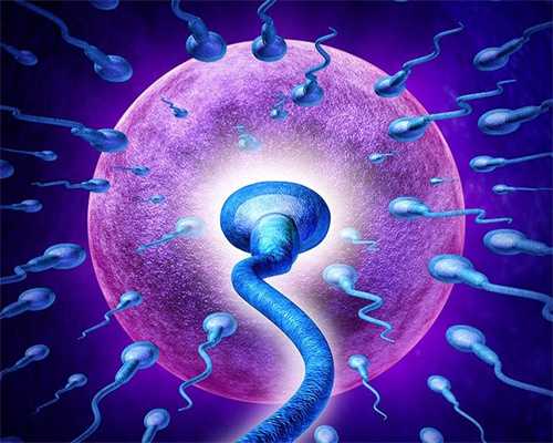 供卵价格-黄体期短效长方案黄体期长方案适合什么人