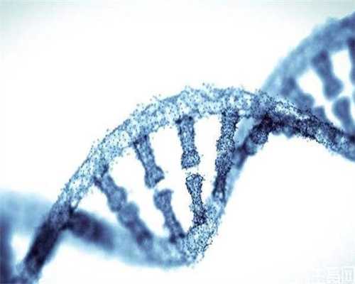 怀孕同房的最佳时间