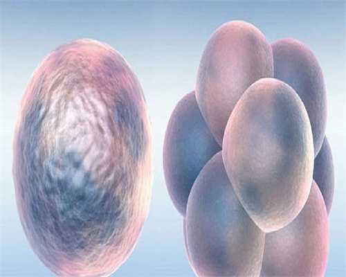 供卵试管联系：精子浓度高也不好，影响活动力怀孕难生男孩更难