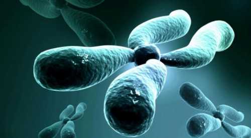 代生网选性别：孕五周未见卵黄囊是否正常为什么hcg3万多只有卵黄囊？