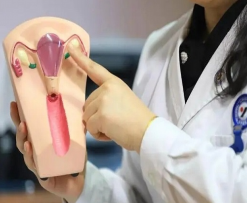 代孕包生女孩-孕妇如何预防新冠肺炎？