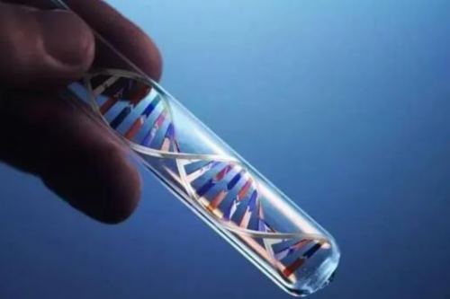 囊胚移植当天孕酮最佳值范围和其他胚胎不同?