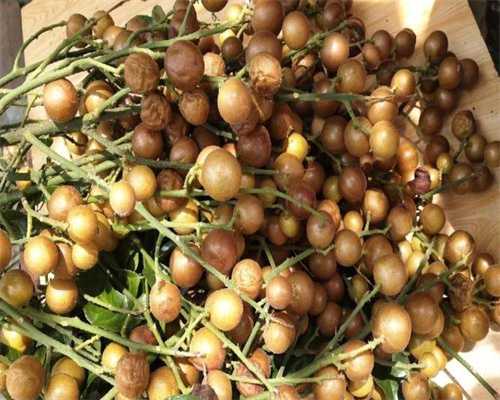 试管代生价钱:试管移植后14天内食谱？试管移植后14天内食谱推荐