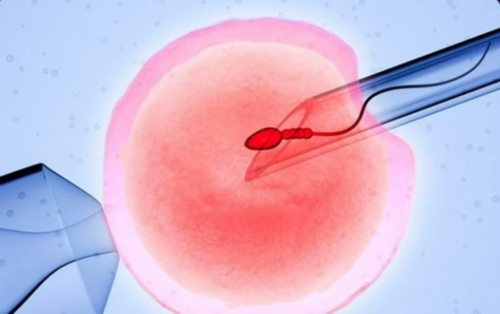 乙肝病毒定量高有什么影响