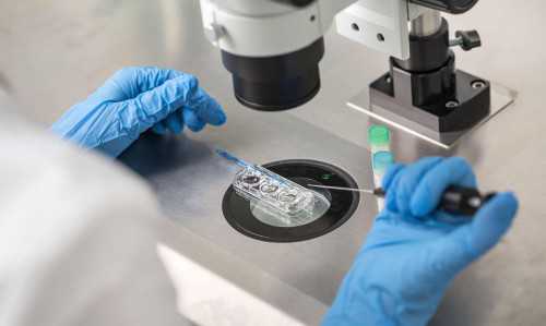 怀孕31天hcg值和孕酮值正常范围