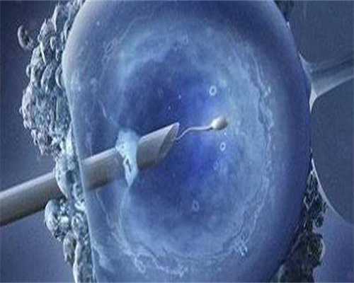 囊胚3ab比4bb好吗（囊胚移植成功率）