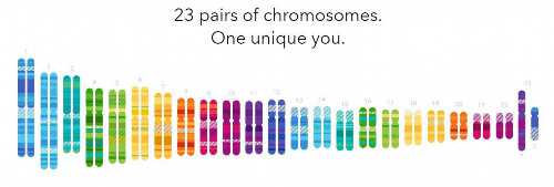 抗精子抗体igg阳性是什么意思