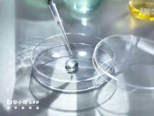 妇科16项检查项目，腹部、盆腔情况一览无余