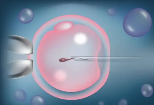 借卵保证成功-备孕期间可以纹眉毛吗（备孕饮食宜忌）