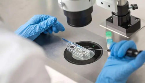 经期月经量很少可以喝藏红花吗