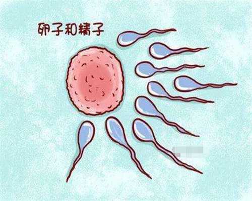 冻卵复苏成功率为多少