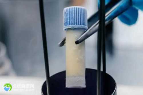 供卵机构助孕：闭经诊断与治疗指南（2026版）