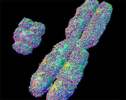 胚胎发育很好有哪些表现