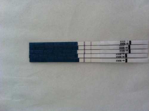 经期能吃螺蛳吗