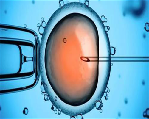 高龄代怀生子:9闭经诊断与治疗指南(试行)