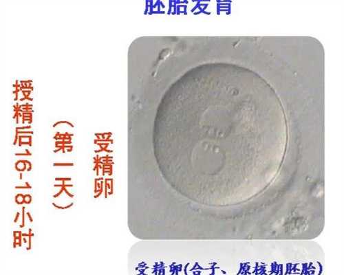 单身试管代生-试管移植前一天精油按摩，移植前精油按摩会不会有助于着床？