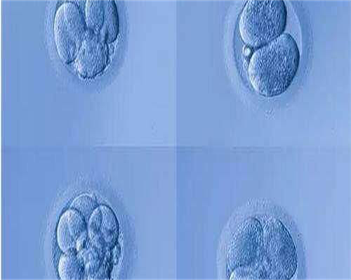 卵巢囊肿手术后吃什么恢复比较快