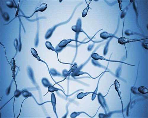 供卵生子医院-B超检查做B超检查能查出盆腔炎吗？