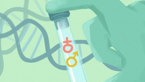 拮抗剂方案期间需要每天都去医院吗?