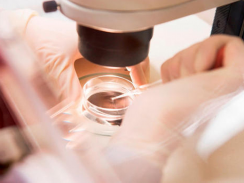 福州试管婴儿包出生,育儿网站官方网站