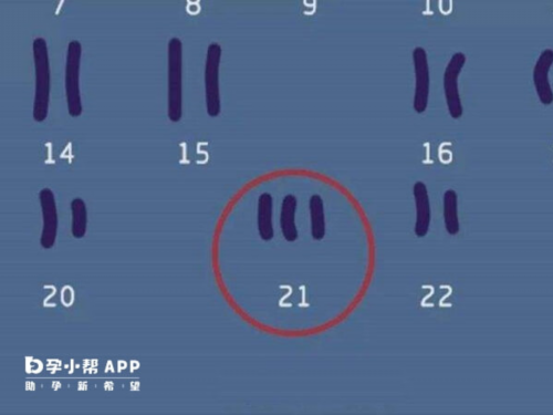 试管婴儿失败后多久能再移植-卵泡不破穿刺能怀孕吗