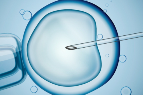 试管代怀套餐-中药最佳服药时间