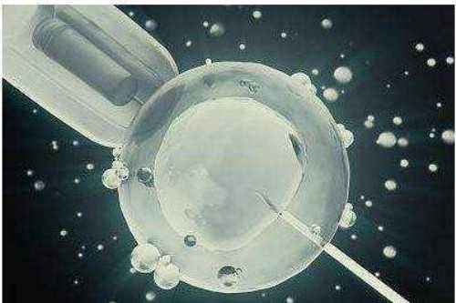 代生小孩费用-同济医院做试管婴儿多少钱？