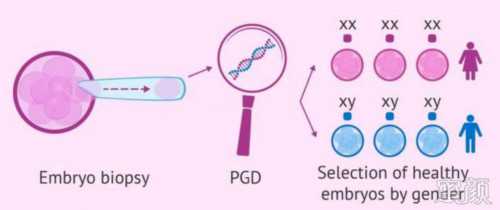 试管代生官网:什么原因会导致停经闭经（溢乳闭经综合征是什么病）