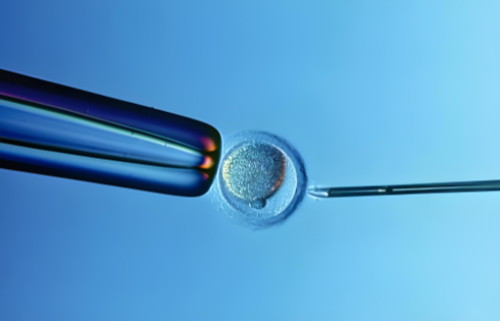 私立助孕医院-备孕期间女性应避免哪些食物？女性备孕的十大禁忌食物有哪些？