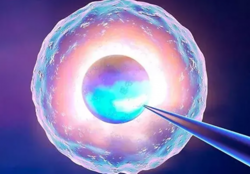 试管婴儿注射hcg有什么作用？