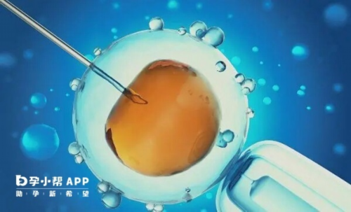 试管代生网:取卵麻醉好还是不麻醉好