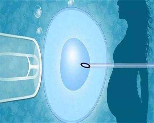 美国试管婴儿 龙凤胎