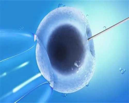 最佳代生网-促排期间吃甲鱼汤好吗？甲鱼促排卵什么时候吃比较好？