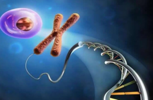 孕酮低会导致不孕或流产，出现这两种症状就是孕酮低的信号！