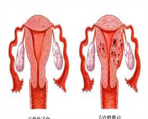 孕酮低HCG翻倍差怎么办？保胎了解一下…