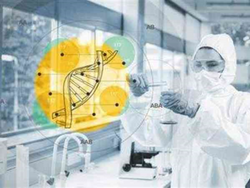 助孕试管电话-车子红灯停在斑马线上算闯红灯吗，红灯停在斑马线上算闯红灯吗