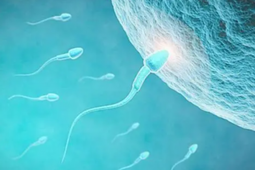 HCG检查是否需要空腹