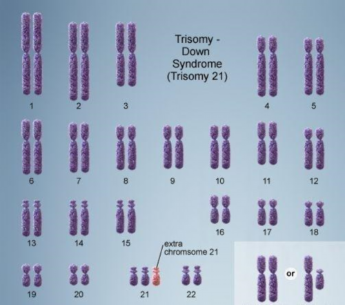 代生中介机构-保胎能不能吃黄体酮，孕妇千万别轻易吃黄体酮