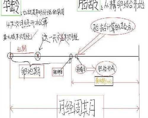 感冒是否影响试管移植计划，附最全流程解读！