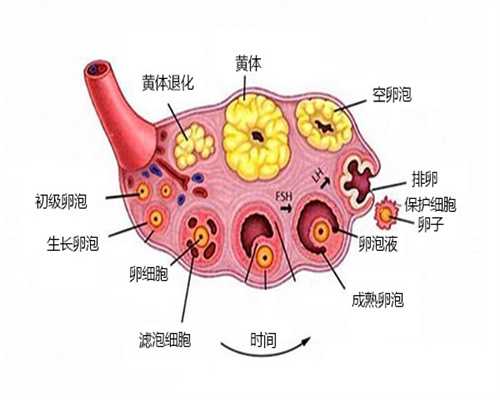*疤痕憩室对试管移植着床有影响，想克服困难试试这样做