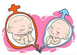 西安代生条件,陕西做试管供卵生男孩费用合计2023高龄供卵三代生子条件分析