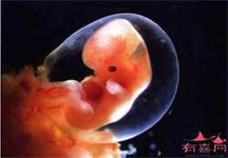 西安供卵代生男孩,陕西做试管供卵生男孩费用合计2023高龄供卵三代生子条件分